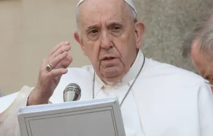 Papst Franziskus bei der Generalaudienz am 19. Mai 2021 / Vatican Media