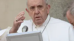 Papst Franziskus bei der Generalaudienz am 19. Mai 2021 / Vatican Media