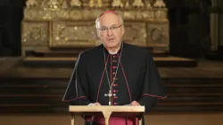 Bischof Rudolf Voderholzer / screenshot / YouTube / bistumregensburg