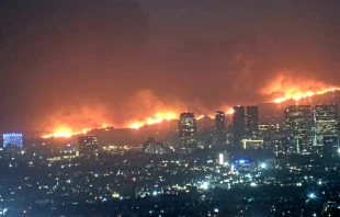 Waldbrände in Los Angeles / Toastt21 / Wikimedia Commons (CC BY-SA 4.0)