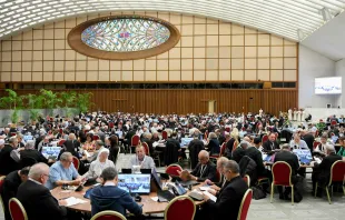 Weltsynode zur Synodalität am 14. Oktober 2023 / Vatican Media