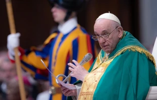 Papst Franziskus, 13. November 2022 / Daniel Ibáñez / CNA Deutsch