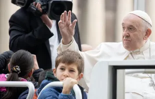 Papst Franziskus, 16. November 2022 / Daniel Ibáñez / CNA Deutsch