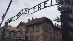 Auschwitz / Fr. Benjamin Holdren