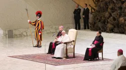 Generalaudienz mit Papst Franziskus am 11. Januar 2017. / CNA/Daniel Ibanez