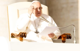 Papst Franziskus bei der Generalaudienz auf dem Petersplatz am 22. November 2017 / CNA / Daniel Ibanez