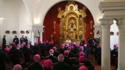 Papst Franziskus in seiner Ansprache an die Bischöfe Perus  am 21. Januar 2018. / Pool / Aigav