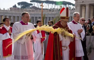 Palmsonntag auf dem Petersplatz mit Papst Franziskus / CNA Deutsch / Daniel Ibanez