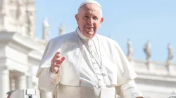 Generalaudienz mit Papst Franziskus am 8. Mai 2019  / Lucia Ballester / CNA Deutsch