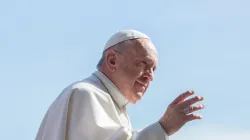 Generalaudienz mit Papst Franziskus am 8. Mai 2019 / Lucia Ballester / CNA Deutsch