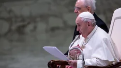 Papst Franziskus bei der Generalaudienz am 5. Februar 2020 / Daniel Ibanez / CNA Deutsch 