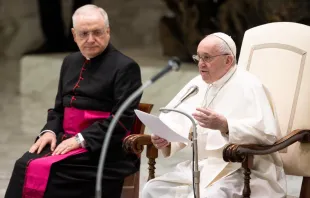Papst Franziskus spricht bei der Generalaudienz am 14. Oktober 2020. / Daniel Ibanez / CNA Deutsch 
