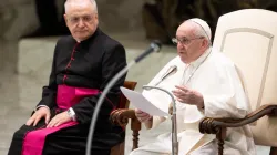Papst Franziskus spricht bei der Generalaudienz am 14. Oktober 2020. / Daniel Ibanez / CNA Deutsch 