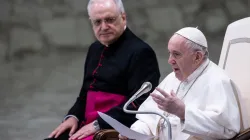 Papst Franziskus spricht bei der Generalaudienz am 21. Oktober 2020. / Vatican Media 
