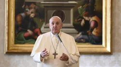 Papst Franziskus spricht bei der Generalaudienz in der Bibliothek des Apostolischen Palastes im Vatikan am 18. November 2020. / Vatican Media