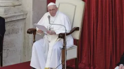 Papst Franziskus spricht bei der Generalaudienz im Vatikan am 16. Juni 2021 / Pablo Esparza / CNA Deutsch