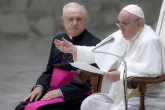 "Wahnhaft": Papst Franziskus warnt vor "Einbildung" ewiger Jugend