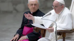 Papst Franziskus, Generalaudienz, 10.08.2022 / Daniel Ibáñez / CNA Deutsch