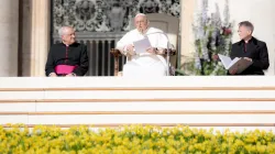 Papst Franziskus bei der Generalaudienz am 12. April 2023 / Daniel Ibáñez / CNA Deutsch