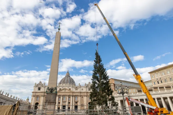 Aufbau des Weihnachtsbaums auf dem Petersplatz am 23. November 2023.