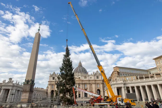 Aufbau des Weihnachtsbaums auf dem Petersplatz am 23. November 2023.
