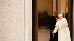 Papst Franziskus winkt Besuchern bei der Eröffnung der Generalaudienz am Mittwoch, 27. Dezember 2023. / Elizabeth Alva