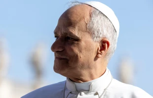 Papst Leo XIV. / Daniel Ibáñez / EWTN News