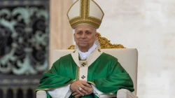 Papst Leo XIV. / Daniel Ibáñez / EWTN News