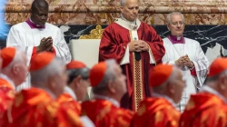 Papst Leo XIV. / Daniel Ibáñez / EWTN News
