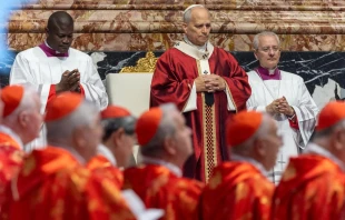 Papst Leo XIV. / Daniel Ibáñez / EWTN News