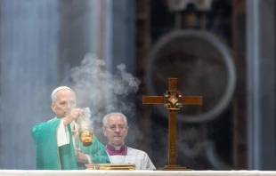 Papst Leo XIV. / Daniel Ibáñez / EWTN News