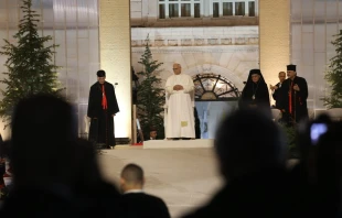 Papst Leo XIV. / Elias Turk / EWTN News