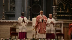 Papst Leo XIV. / Mirjana Gabrić / EWTN News