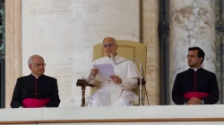 Papst Leo XIV. / Daniel Ibáñez / EWTN News