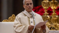 Papst Leo XIV. / Daniel Ibáñez / EWTN News