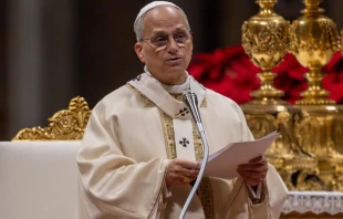 Papst Leo XIV. / Daniel Ibáñez / EWTN News