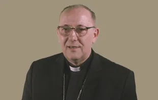 Bischof Wolfgang Ipolt / screenshot / YouTube / KircheTV