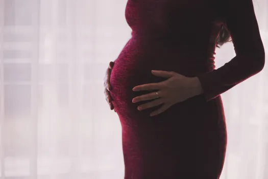 Eine schwangere Frau / Pexels via Pixabay (Gemeinfrei)