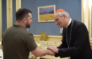 Präsident Selenskyj und Kardinal Zuppi / 