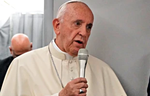 Papst Franziskus an Bord des Fliegers von Panama nach Rom am 27. Januar 2019 / Mercedes De la Torre / CNA Deutsch