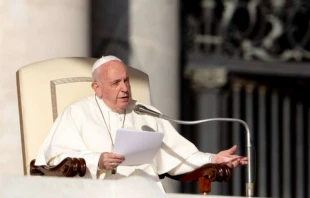 Papst Franziskus bei der Generalaudienz am 23. Oktober 2019 / Daniel Ibanez / CNA Deutsch