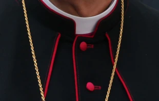 Kragen eines Bischofs (Symbolbild) / Draceane / Wikimedia Commons (CC BY-SA 4.0)