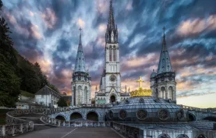 Blick auf die Rosenkranz-Basilika und die Türme der "Oberen Basilika" von Lourdes / stibou5 via Flickr (CC BY-NC-ND 2.0)