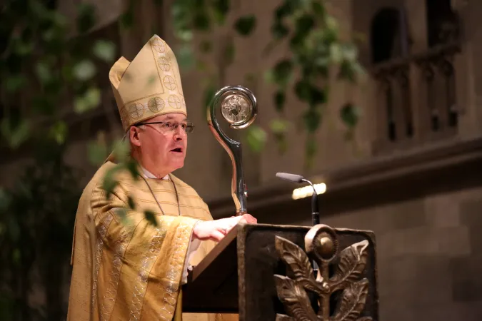 Bischof Rudolf Voderholzer predigt im Dom zu Regensburg am 11. Juni 2020.