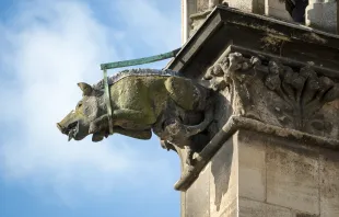 Eine "Judensau" im Form eines Wasserspeiers am Kölner Dom. / Wikimedia / BY-SA 4.0