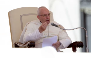 Papst Franziskus spricht bei der Generalaudienz am 27. Juni 2018 / CNA Deutsch / Daniel Ibanez