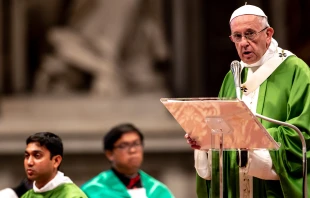 Papst Franziskus bei der Feier der heiligen Messe am 28. Oktober im Petersdom / Daniel Ibanez / CNA Deutsch