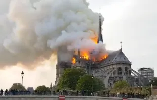 Notre Dame / Twitter (Screenshot)