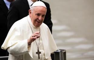 Papst Franziskus bei der Generalaudien am 6. Februar 2019 / Daniel Ibanez / CNA Deutsch