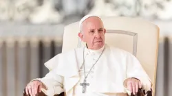 Papst Franziskus bei der Generalaudienz auf dem Petersplatz / Daniel Ibanez / CNA Deutsch